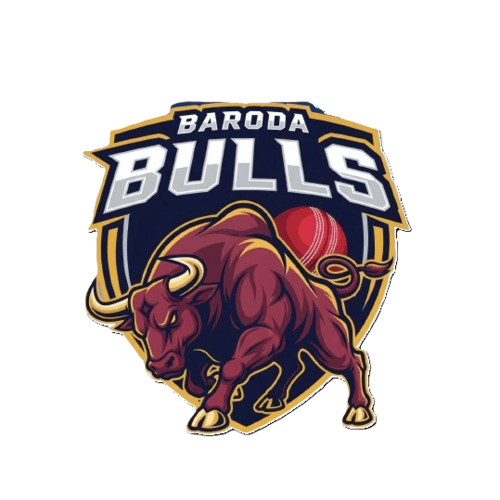 BARODA BULLS